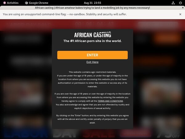 [Image: Africancastingcom-Account-Information.jpg]