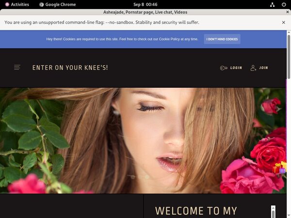Ashea.modelcentro.com Recent