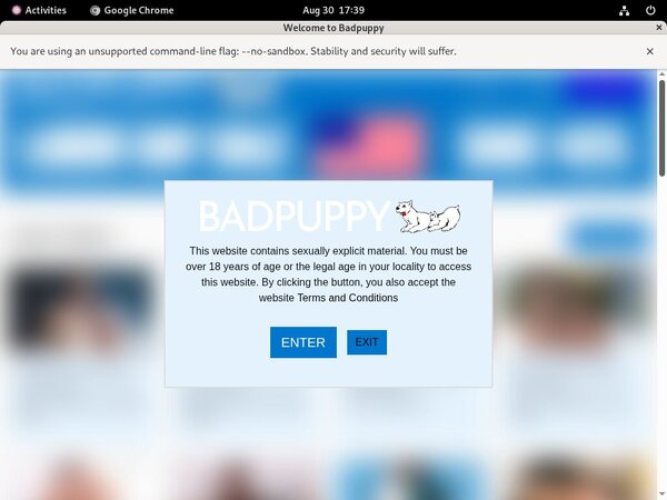 Bad Puppy Mobile Passwords