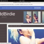 BaddBirdie Porn Reviews
