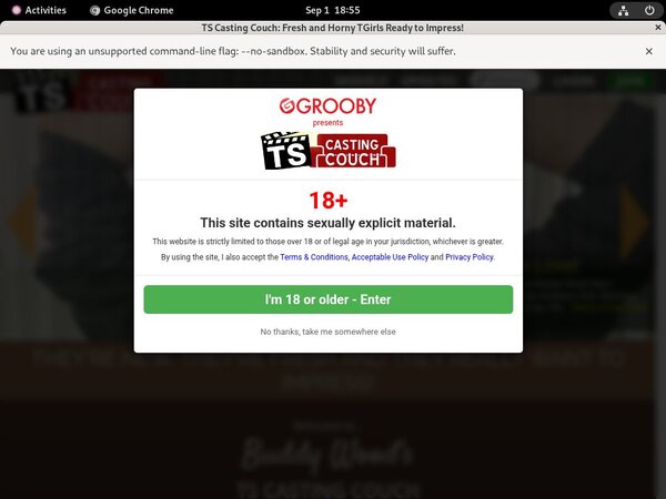 Become Ts-castingcouch.com Member