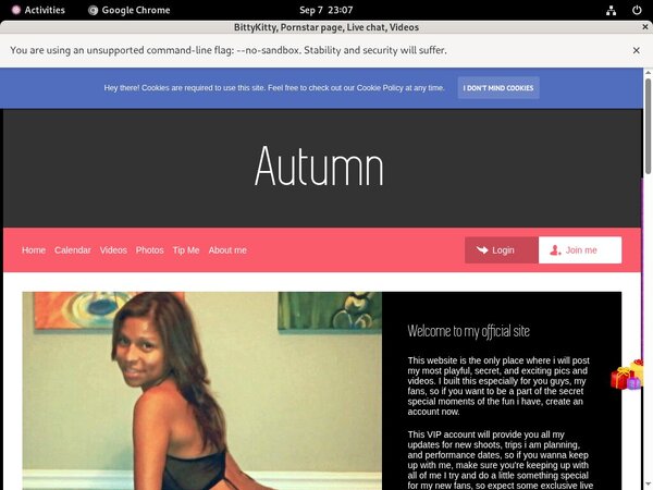 BittyKitty Premium Accounts