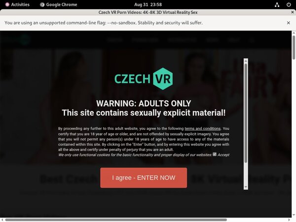 Czech VR Logon Czech VR Logon