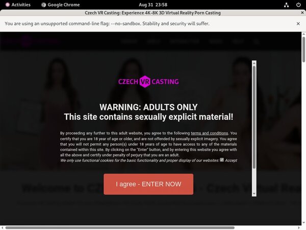 Czechvrcasting Porn Password