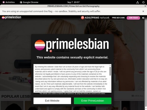 Does Primelesbian.com Use Paypal?