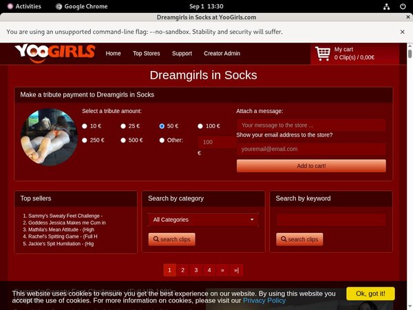Dreamgirls In Socks Payment Form