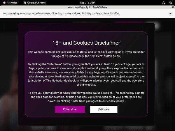 Feelxvideos Passwords Free
