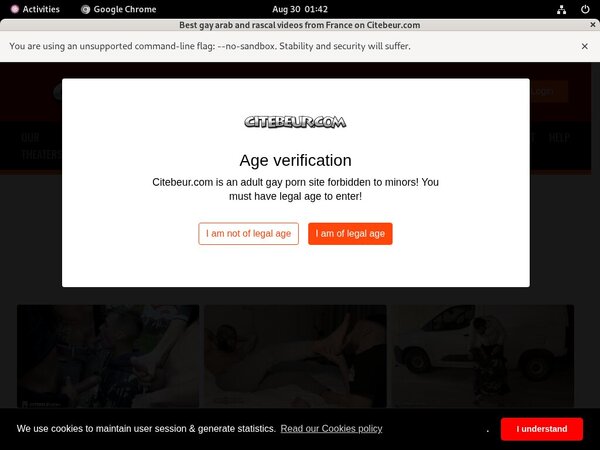 Free Citebeur Accounts Premium