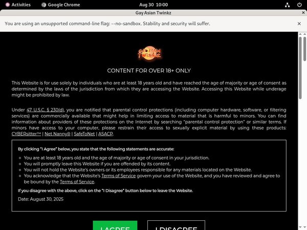 Free Gayasiantwinkz.com Films