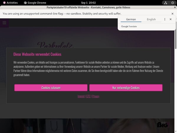 Free Parkplatzluder19 Hd