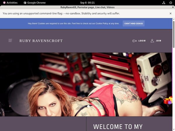 Free RubyRaven69 Passwords 2018
