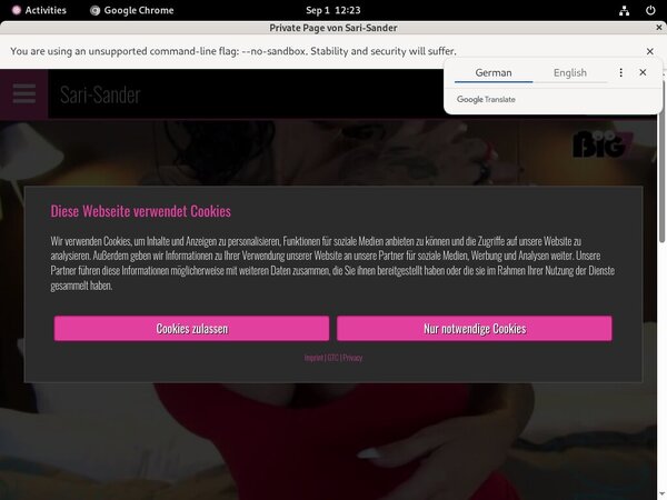 Free Sari-sander.com Passwords