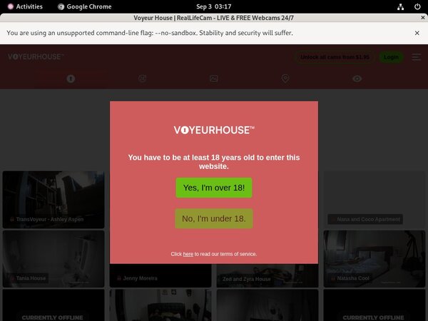 Free Voyeurhouse.com Videos