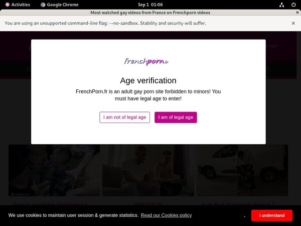 French Porn Gay Reduced Price