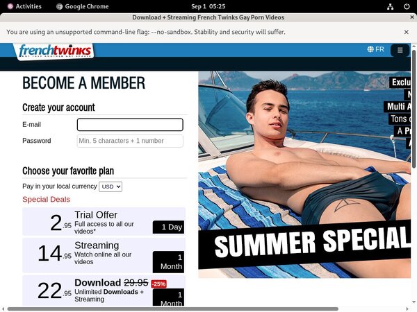 French Twinks Paysite Discounts