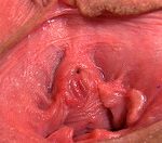 Gape My Pussy Porn Movies