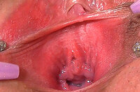 Gape My Pussy ??? ?? s4