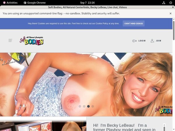 How To Access SoftBodiesTV