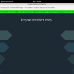 Kitty’s Kuriosities Paypal Offer