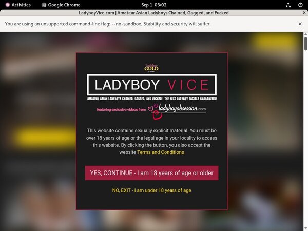Ladyboy Vice Hd