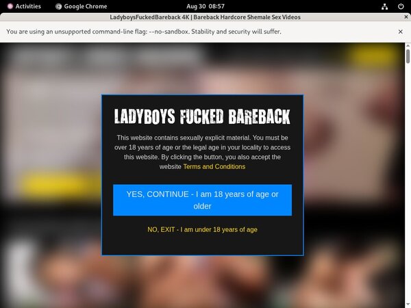 Ladyboysfuckedbareback With No Card