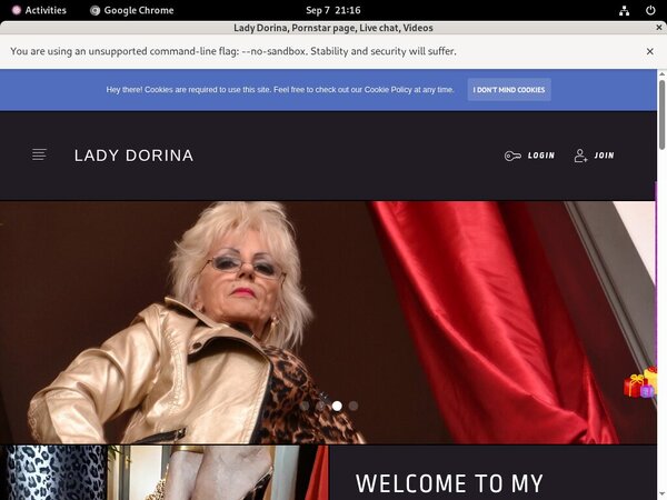 Lady-dorina.com Working Pass