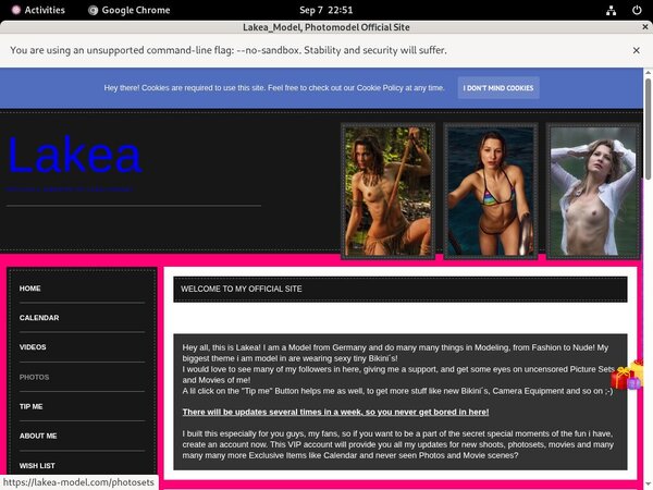 Lakea-model Passwords Free