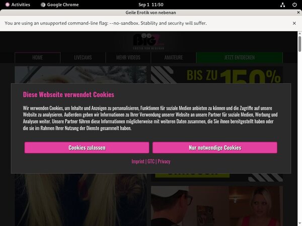 Linda Kiss Free Password
