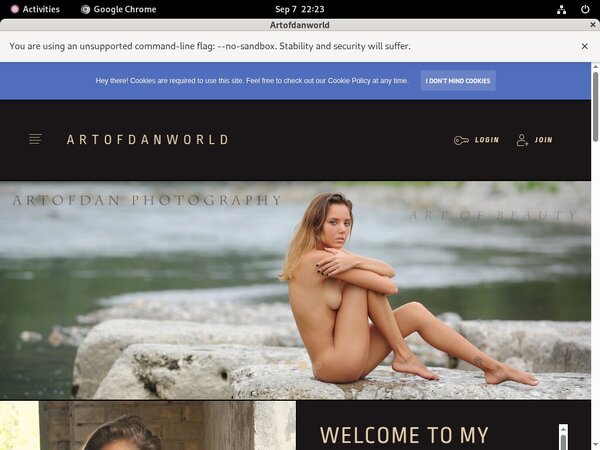 Login To Artofdanworld.com For Free
