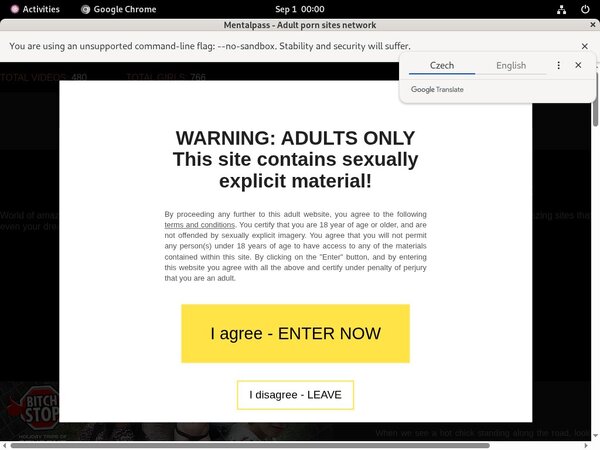 Logins For Mental Pass Free