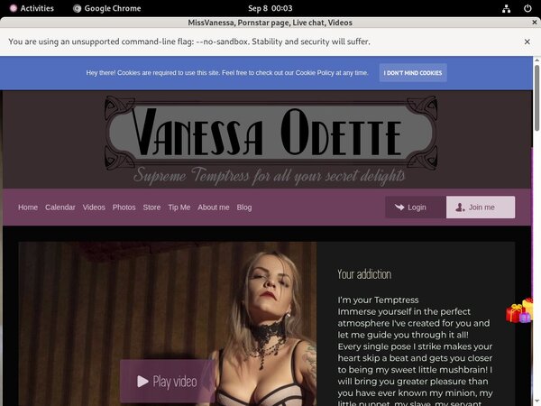 Missvanessa.modelcentro.com Vxsbill Page