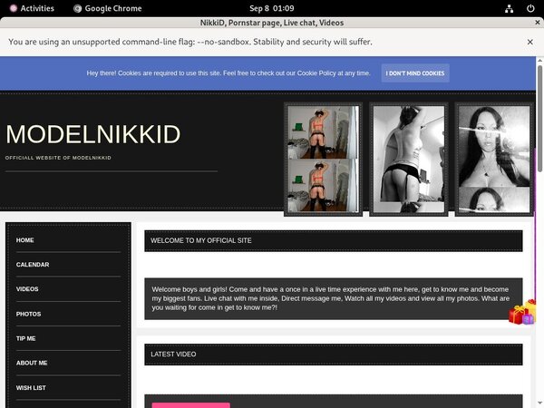 ModelNikki Hub