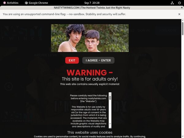 Nasty Twinks Cuentas Gratis
