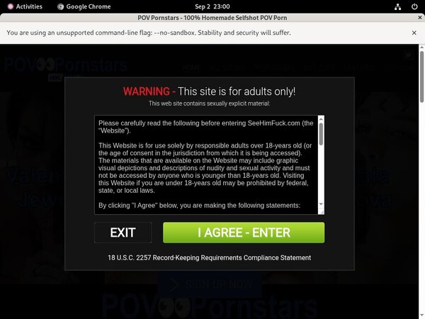 POV Pornstars Login Codes