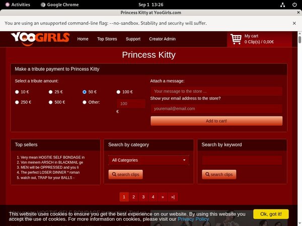 Princess Kitty Discount Off