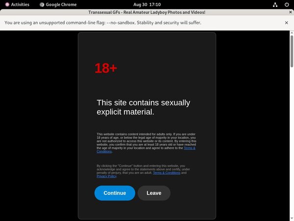 Transsexual GFs Porn Review