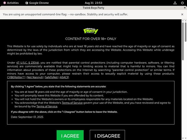 Twinkboysparty.com Home Page