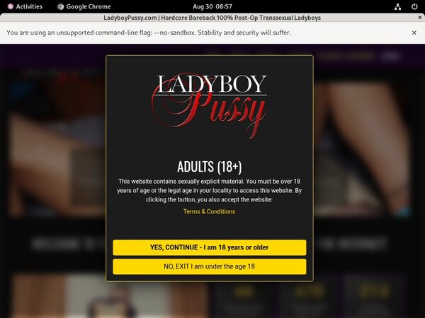 Xnxx Ladyboy Pussy