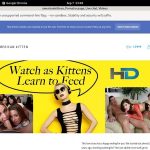 Americankittens Premium Pass