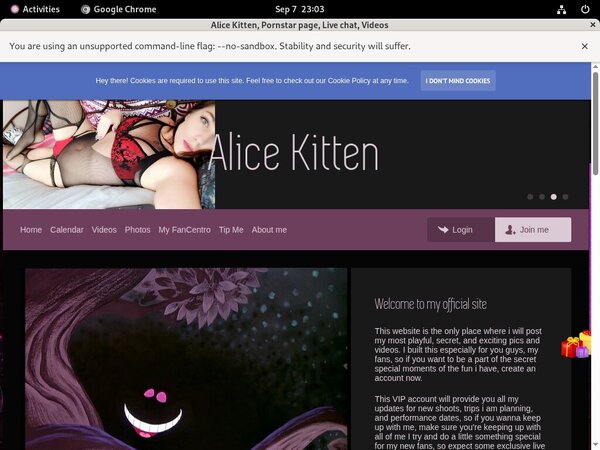 Discount Alicekitten.modelcentro.com Account