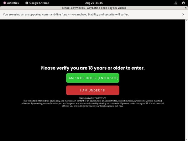 Free Schoolboyvideos.com Porn