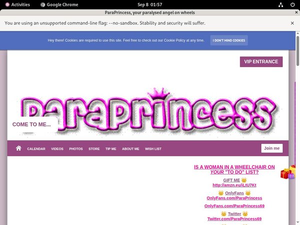Paraprincess.com With Directpay