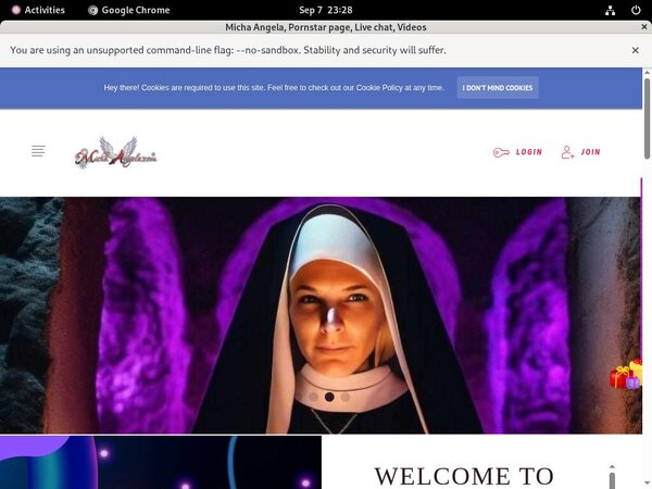 Premium Accounts Free Michaangela.com