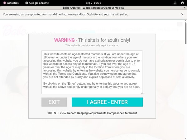 Babearchives Premium Passwords