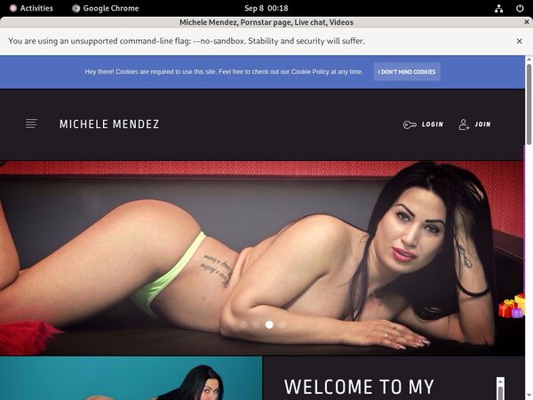 Michele Mendez Special Offer