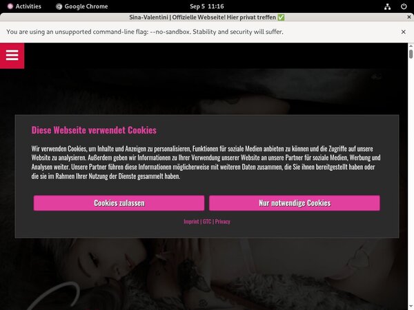 Free Passwords For Sina Valentini